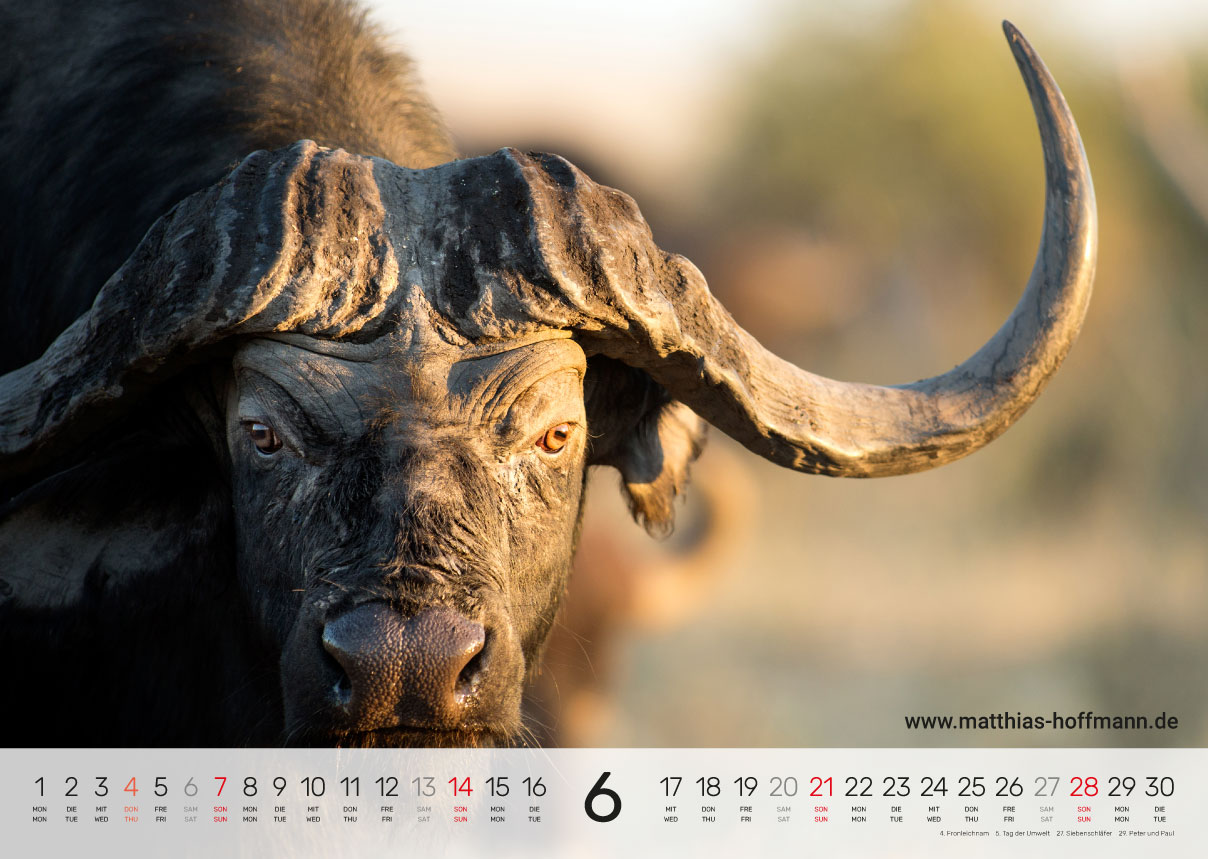 Kalender 2026 - Juni